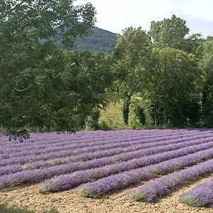 letable.hotels-rhonealpes.com/